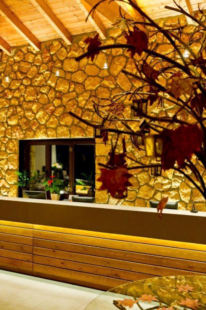 Pliadon Gi Mountain Resort & Spa Kato Sinikia Trikalon Bagian luar foto